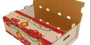 Fruit Packaging Box