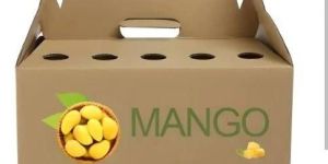 Mango Packaging Box