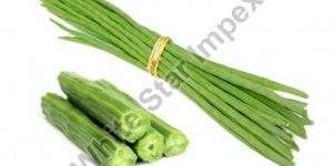 Organic Fresh Drumstick