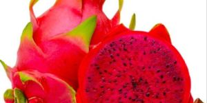 Red Dragon Fruit