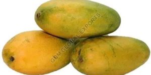 Fresh Neelam Mango