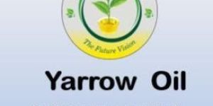 Yarrow Oil