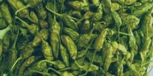 Dehydrated Green Chilli