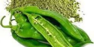 Dehydrated Green Chilli Powder