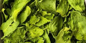 Dehydrated Spinach Flakes