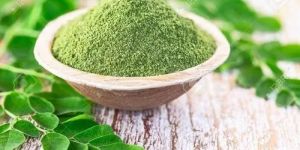 Dry Moringa Powder