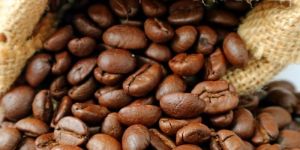 Robusta Coffee Beans