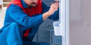 Domestic Refrigerator Maintenance Services