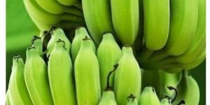 Natural Green Banana