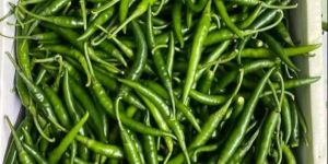 Best Green Chilli