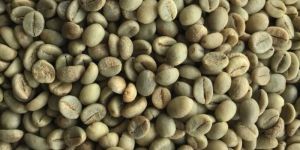 Arabica Bulk Green Coffee Beans
