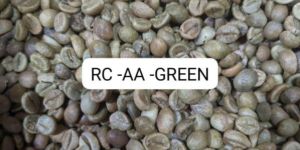 Robusta AA Green Coffee Beans