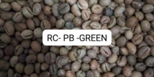 Robusta Peaberry Green Coffee Beans