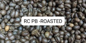 Robusta Roasted Peaberry Coffee Beans
