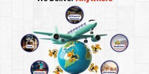 International Courier Services