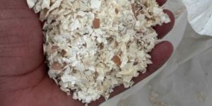 Egg Shell Powder