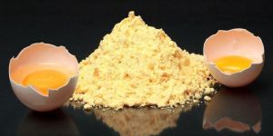 Egg Yolk Powder