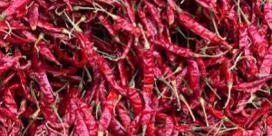 334 Sanam Red Chilli
