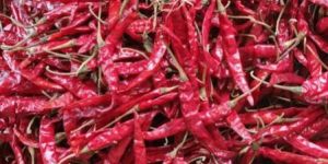 Teja Best Dry Red Chilli