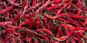 Teja Deluxe Dry Red Chilli