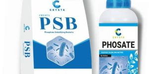 PHOSPHATE-Phosphorus Solubilizing Bacteria (PSB