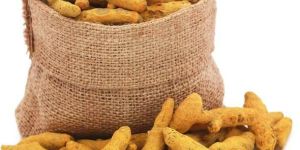 Dried Turmeric Finger