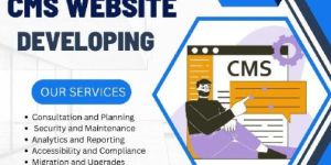 CMS Web Development