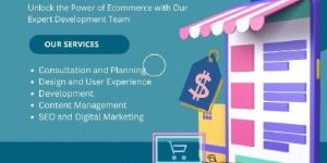 Ecommerce Web Development Services