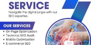 SEO Services in Delhi