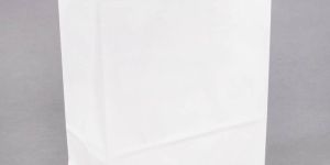 White Kraft Paper Bag