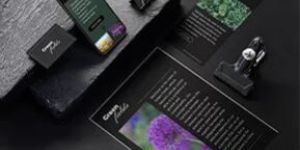 Graphic Design Service