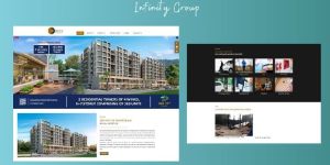 Website Development Services