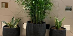 FRP Planters Premium Quality Good Product