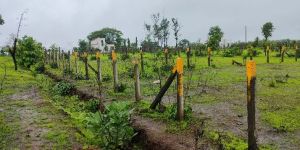 Resale NA Plot for Sale in Murbad near Mumbai