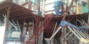 Whole Wheat Atta Plant