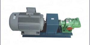Rotary Gear Pumps
