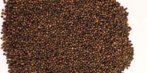 11.75mm Black Pepper