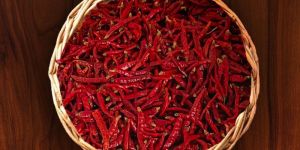 S-17 Teja Stemcut Dry Red Chilli