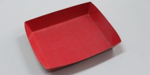 Samosa Serving Paper Tray
