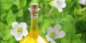 Brahmi Oil Soluble Extract