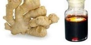 Ginger Oleoresin Oil