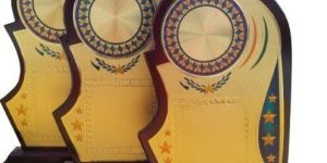 shnk-599 wooden memento