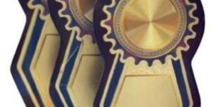 shnk-610 wooden memento set