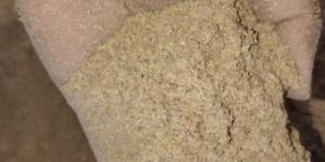 Rice Husk Powder