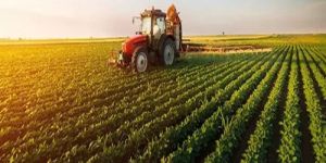 Contract Farming Service