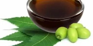 Neem Kernel Oil