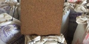 Square Coir Pith Block