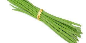 Moringa Drumstick