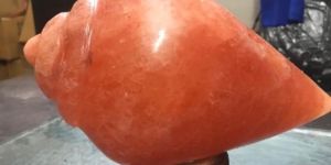 Shankh Shape Rock Salt Lamp
