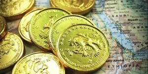 Currency Risk Management Service